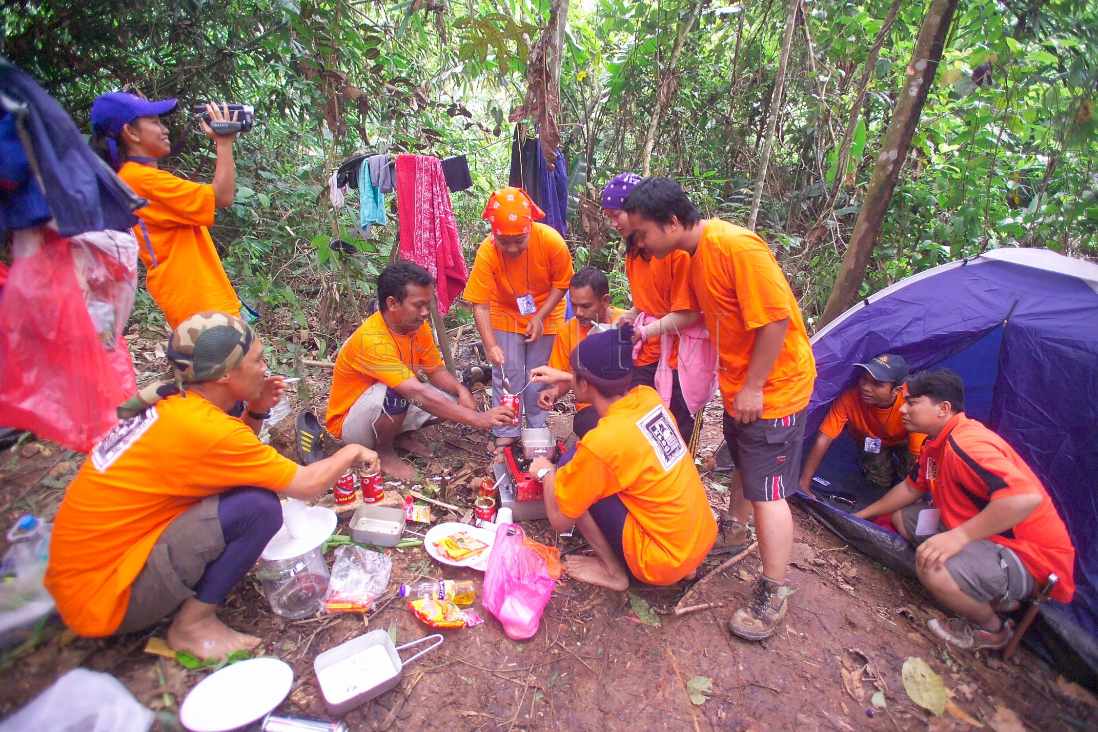 PTPM 06 31 kilau D9X44194